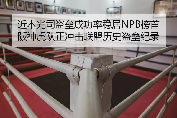 近本光司盗垒成功率稳居NPB榜首 阪神虎队正冲击联盟历史盗垒纪录